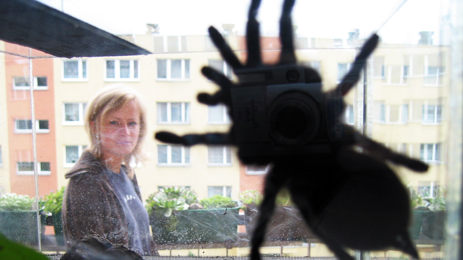 Jagelenian University Krakow Poland Film Rombout